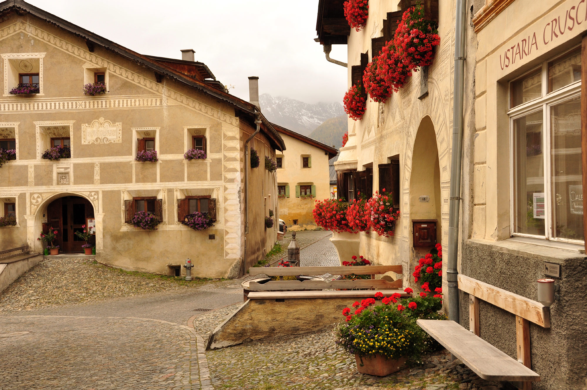 Guarda
